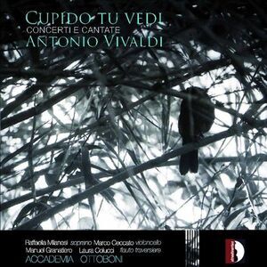 Accademia Ottoboni - Cupido Tu Vedi  CD